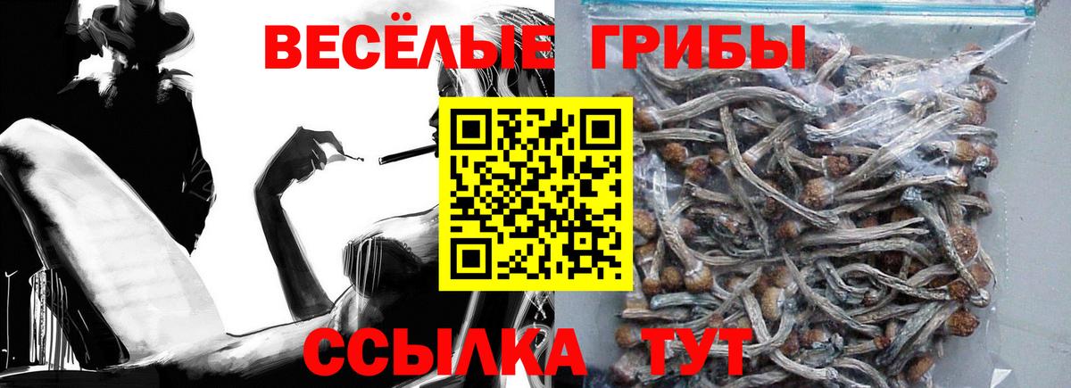 Гай  Галлюциногенные грибы Psilocybine cubensis  Вход с VPN 
